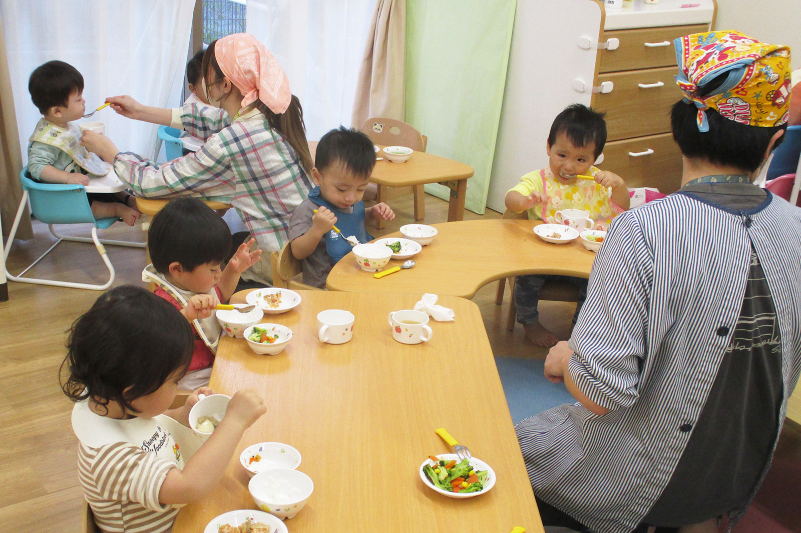 給食